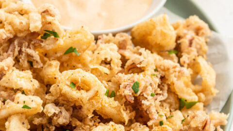 Fried Calamari